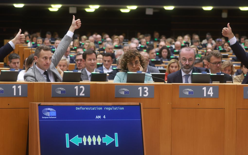 Europarlementariërs stemmen over de Europese ontbossingswet in het Parlement. beeld EPA, Olivier Hoslet