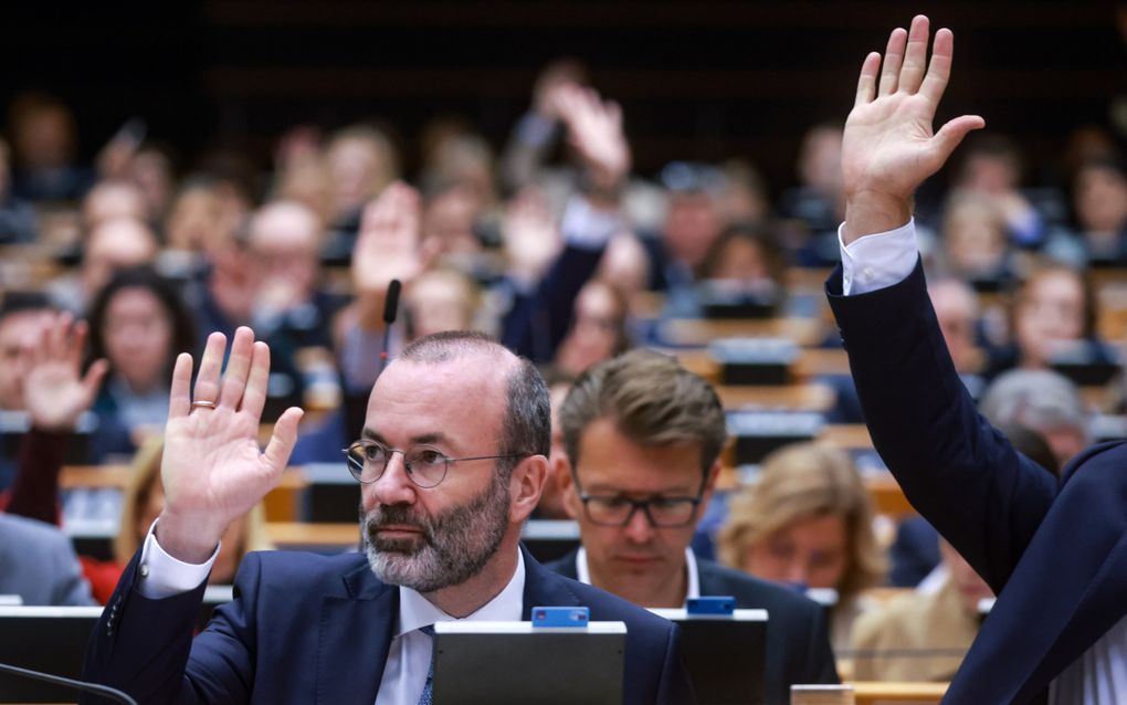 Manfred Weber, leider van de christendemocratische EVP-fractie in het Europees Parlement tijdens een stemming in het Europees Parlement in Brussel. beeld EPA, Olivier Hoslet