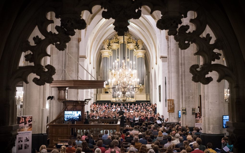 Foto van een willekeurig concert in de Sint-Joriskerk in Amersfoort. beeld Niek Stam