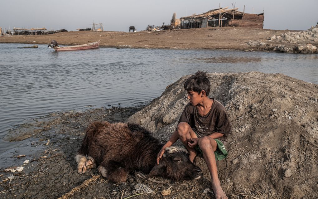 Moerasarabieren leven van de Eufraat en de Tigris. Maar het gebied kampt met droogte. beeld Joris van Gennip