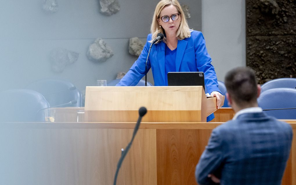 Minister voor Buitenlandse Handel en Ontwikkelingshulp Reinette Klever en DENK-Kamerlid Stephan van Baarle. beeld ANP, Remko de Waal