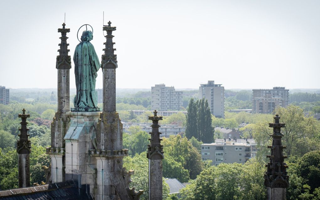 De Sint-Janskathedraal in Den Bosch. beeld Niek Stam