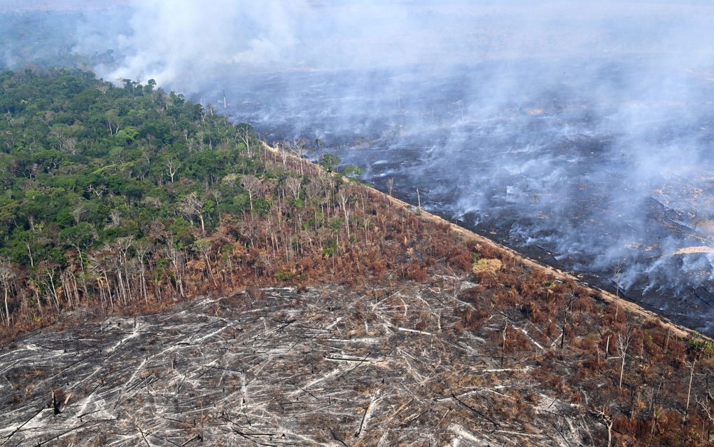 Ontbossing in het Amazoneregenwoud. beeld AFP, Evaristo Sa