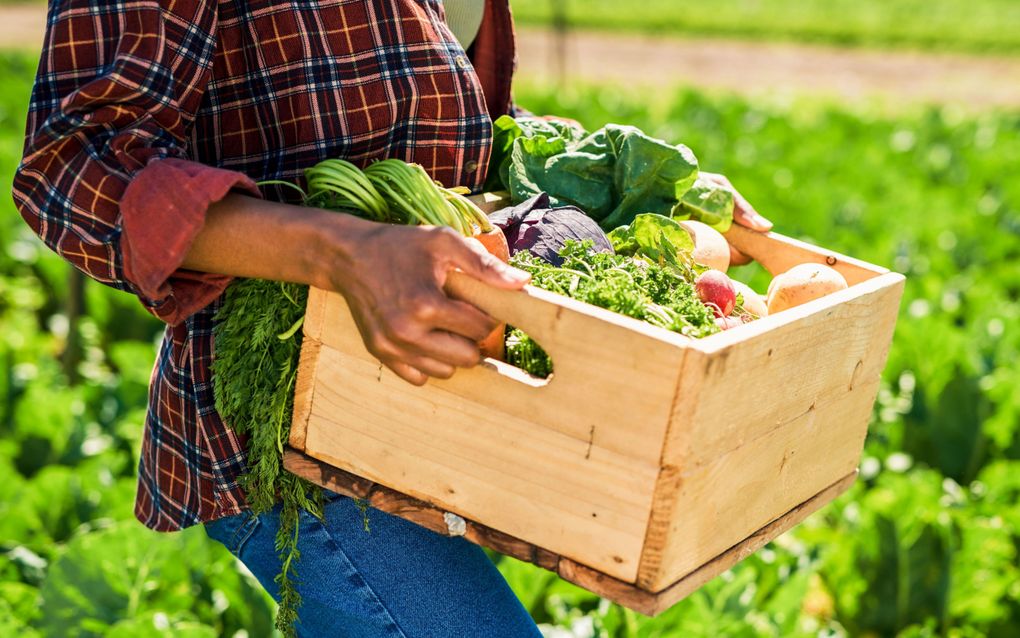 Een plantaardiger dieet is een voorbeeld waarbij je meerdere vliegen in één klap kunt slaan. Zowel klimaat, biodiversiteit, voedsel als gezondheid kunnen er wel bij varen. beeld IPBES