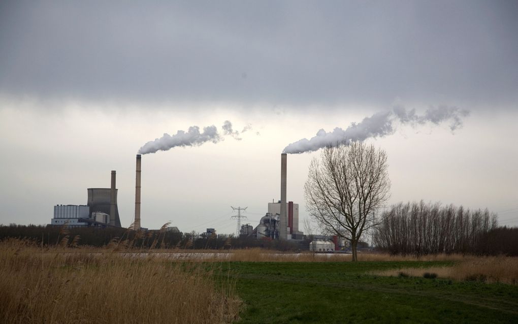 De provincie Noord-Brabant gaf op basis van de ruime oude vergunning toestemming voor een nieuwe biomassacentrale bij de Amercentrale in Geertruidenberg. beeld iStock