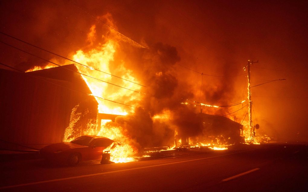 Bosbrand in de chique wijk Pacific Palisades in Los Angeles. beeld AFP, Eric Thayer