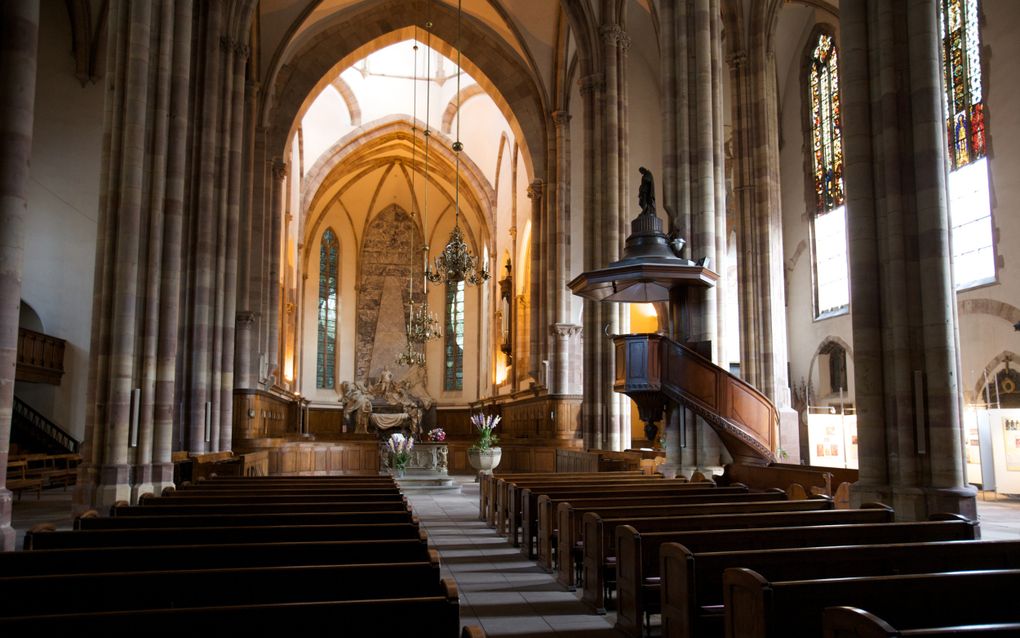 Interieur van de Sint-Thomaskerk in Straatsburg, waar Calvijn tussen 1538 en 1542 waarschijnlijk gepreekt heeft. beeld Sjaak Verboom