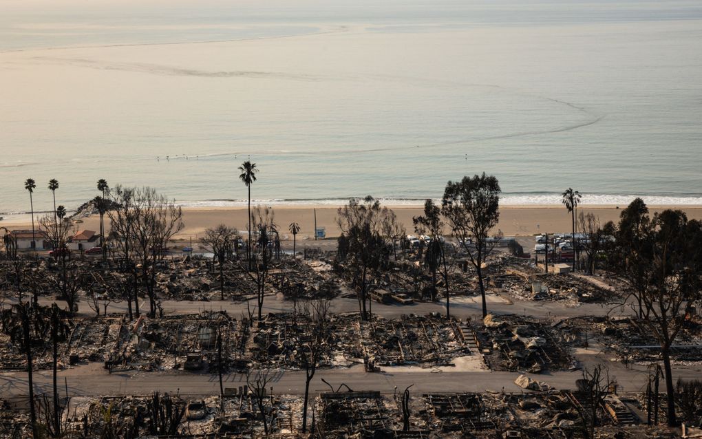 Uitgebrande huizen in de aan de kust gelegen wijk Pacific Palisades in Los Angeles. beeld AFP, Zoë Meyers