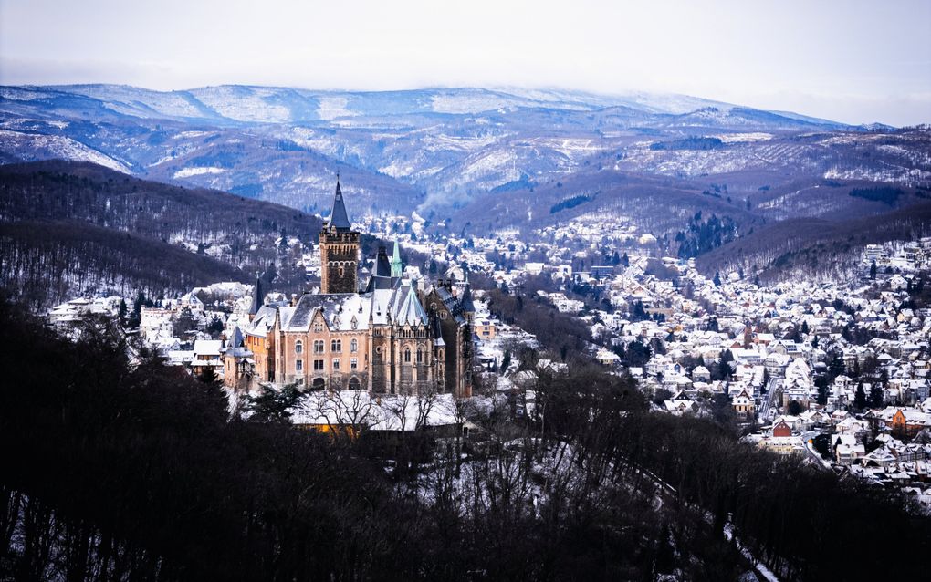 De Harz in Duitsland. beeld Matthijs Geuze