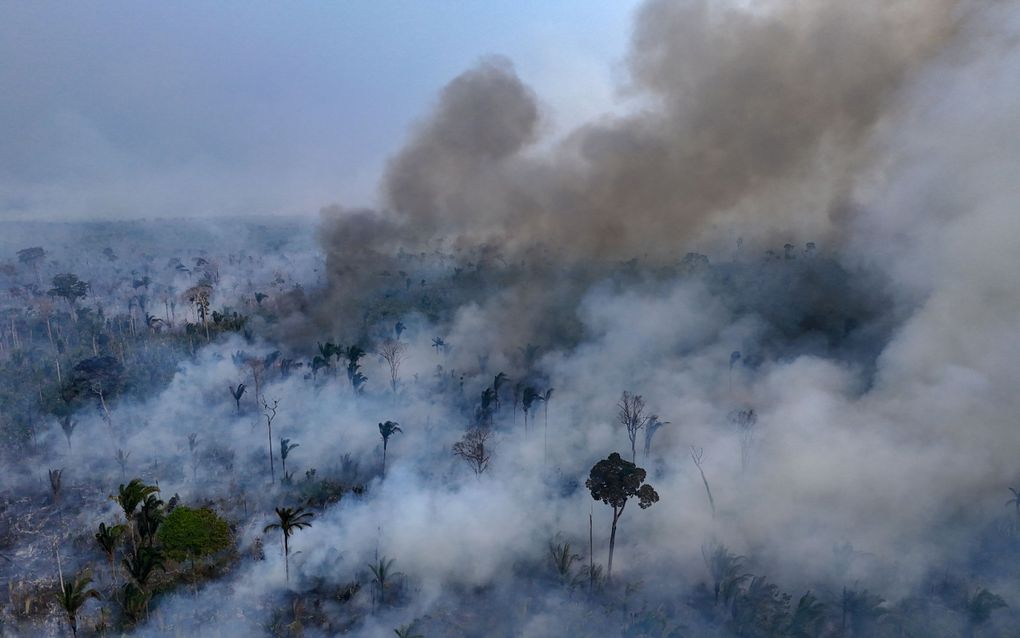 Bosbranden in Brazilië hebben een totale oppervlakte in de as gelegd vergelijkbaar met Italië, meldde monitoringplatform MapBiomas. beeld AFP, Michael Dantas