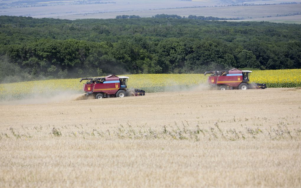 Combines oogsten graan in Oekraïne. De akkers in het oosten van het land tellen miljoenen kraters van onder andere bominslagen. Ook ligt naar schatting 30 procent van het areaal vol landmijnen. beeld ANP, Pierre Crom