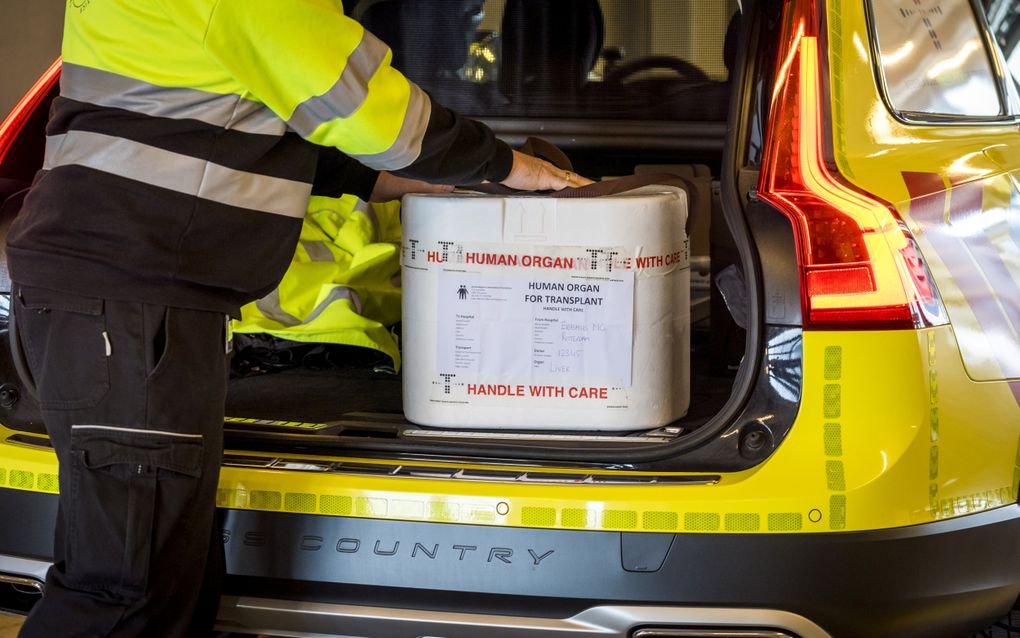 Het komt steeds vaker voor dat Nederlanders organen doneren na een euthanasie. Foto: een medewerker van het Erasmus MC vertrekt voor het transport van een orgaan. beeld ANP, Lex van Lieshout