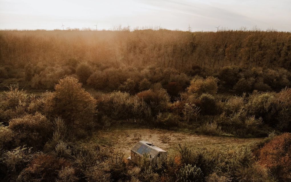 Cabin in Horsterwold. beeld Eva Krebbers-Tumbleweeds and fireflies