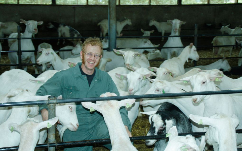 „Het meest vervelende scenario is het oprollen van de hele geitenhouderij”, zegt geitenboer Jos Tolboom in Hoogland. beeld Boerderij Breevoort