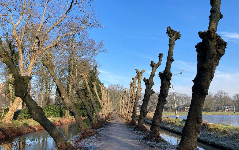 beeld Geertje Bikker-Otten