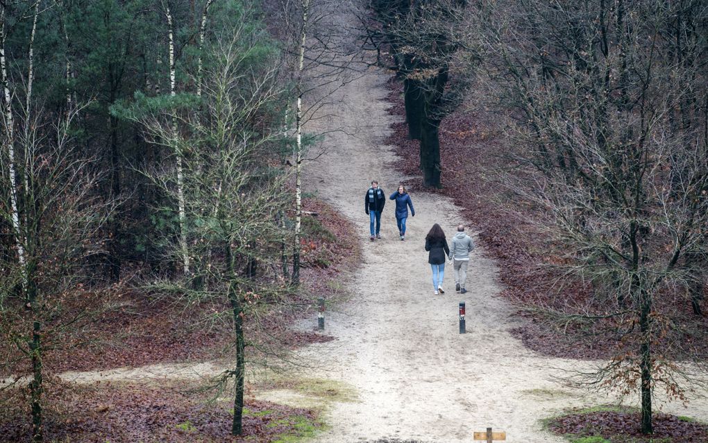 Recreatie en toerisme in de natuur zorgden voor een gebruikswaarde van de natuur van 11,2 miljard euro in 2022. beeld ANP, Jeroen Jumelet