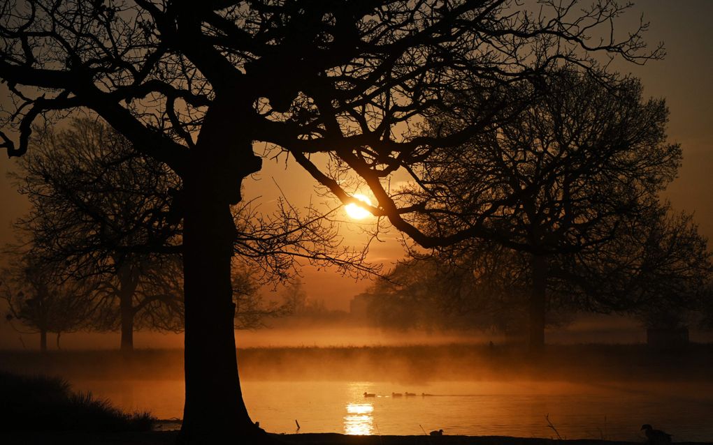 Zonsopkomst in Londen, Engeland. beeld AFP, Justin Tallis