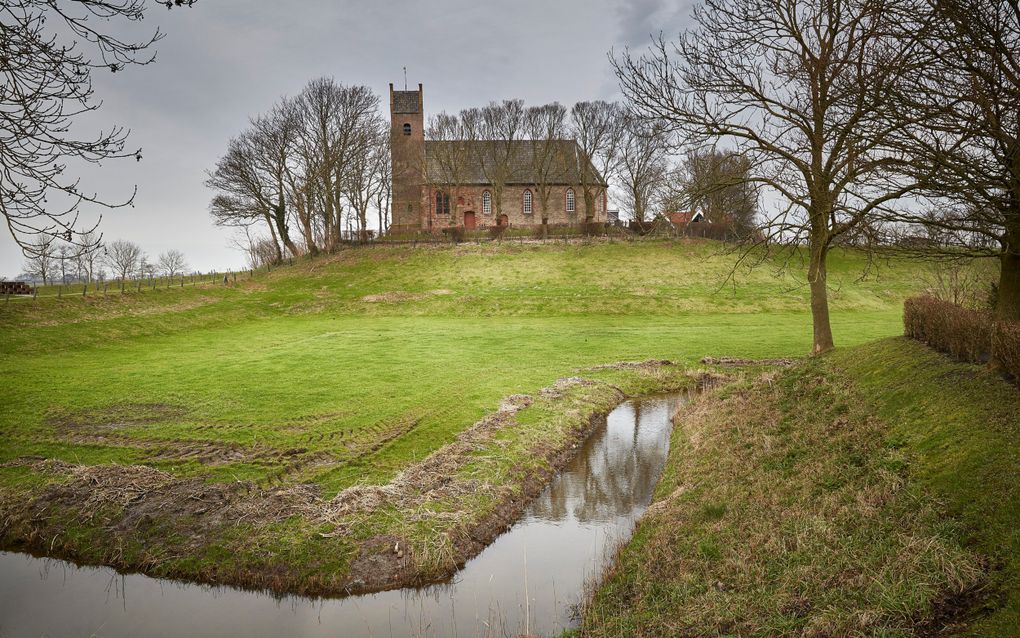 Het Fries heeft als taal een betere positie dan het Nedersaksisch en ook de toekomst lijkt voor deze taal positiever, concludeert taalwetenschapper Raoul Buurke. beeld Staatsbosbeheer, Marcel van Kammen