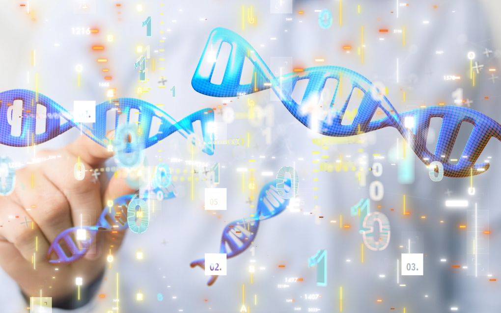 De structuur van de informatiecodering in het DNA van levende wezens is vele malen beter dan de door mensen gegenereerde programmacodes. beeld iStock