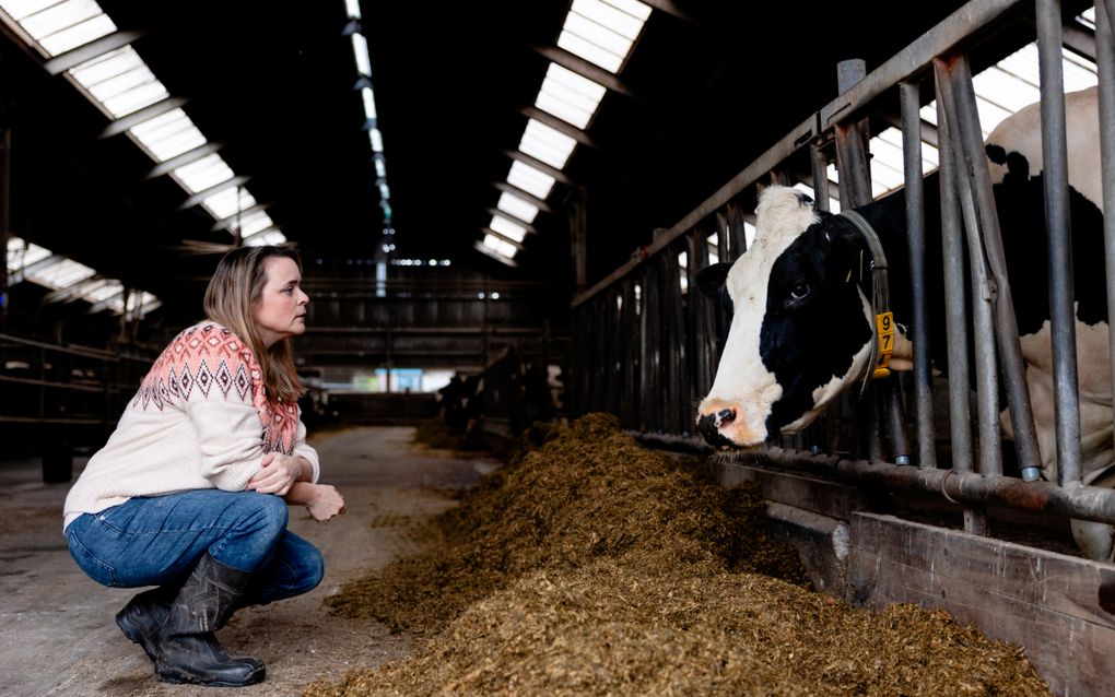 CDA-Kamerlid en boerin Eline Vedder (45). beeld Leonard Walpot