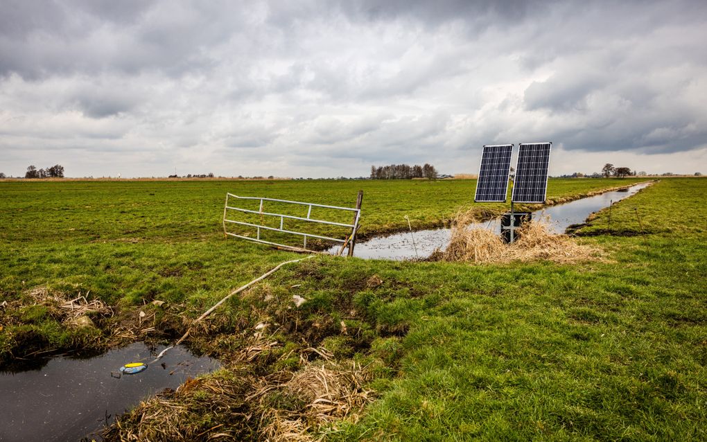 Waterpeilbeheer in een weiland in de Alblasserwaard. Zuid-Holland wil boeren in het Groene Hart onder meer ammoniakplafonds opleggen. beeld ANP, Jeffrey Groeneweg