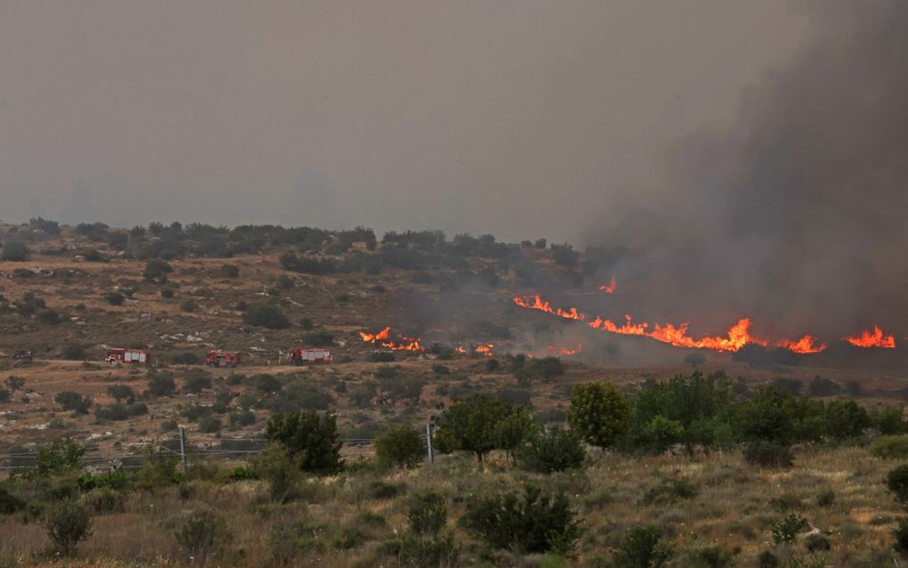 Brandweerlieden proberen een vuurhaard bij Bet Shemesh te blussen. beeld AFP, Ahmad Gharabli