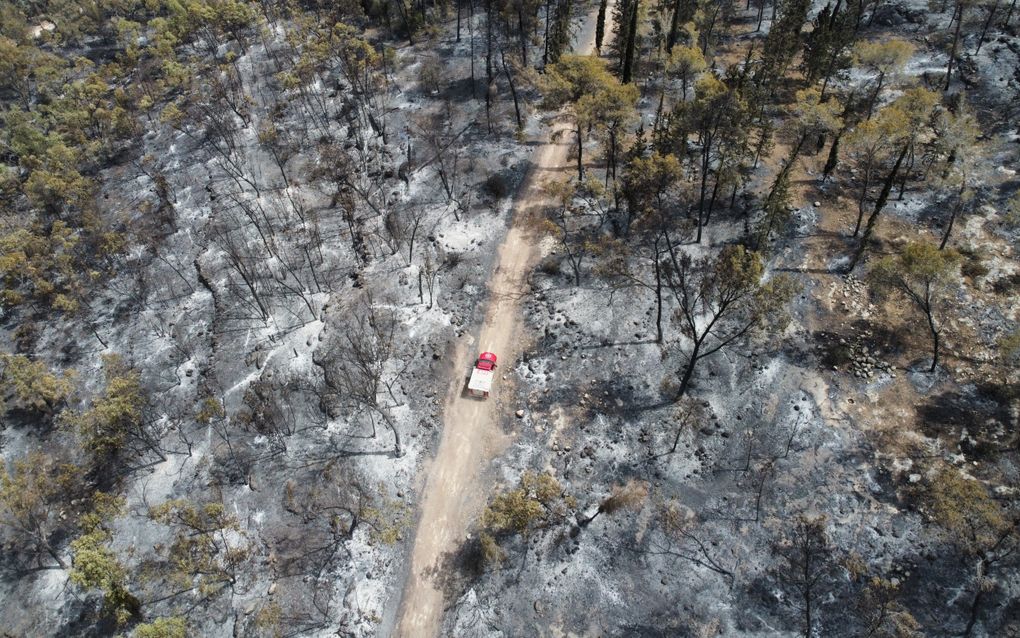 Brandweerlieden in het gebied Latrun, in centraal Israël, tussen Jeruzalem en Tel Aviv. beeld EPA, Abir Sultan