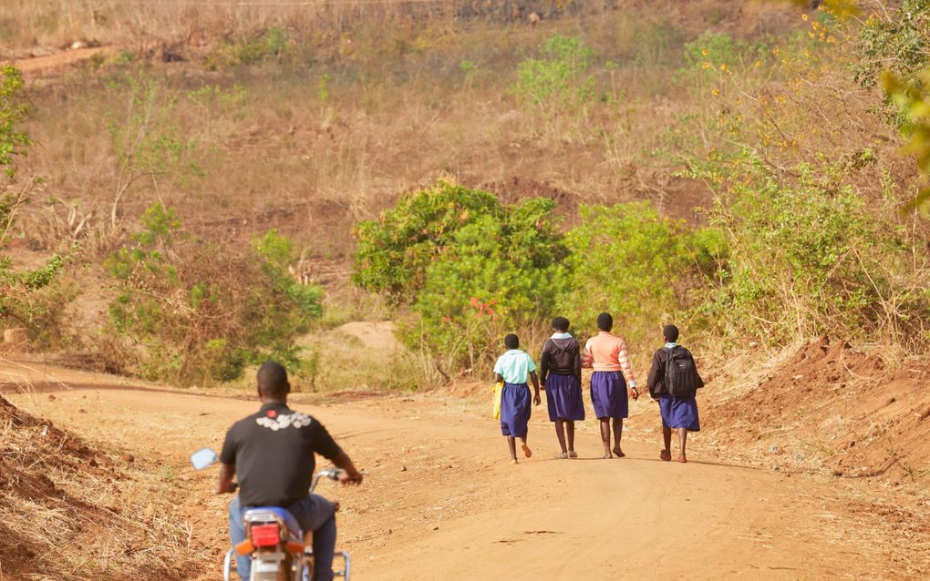 Malawische leerlingen lopen naar school. Foto Jaco Klamer