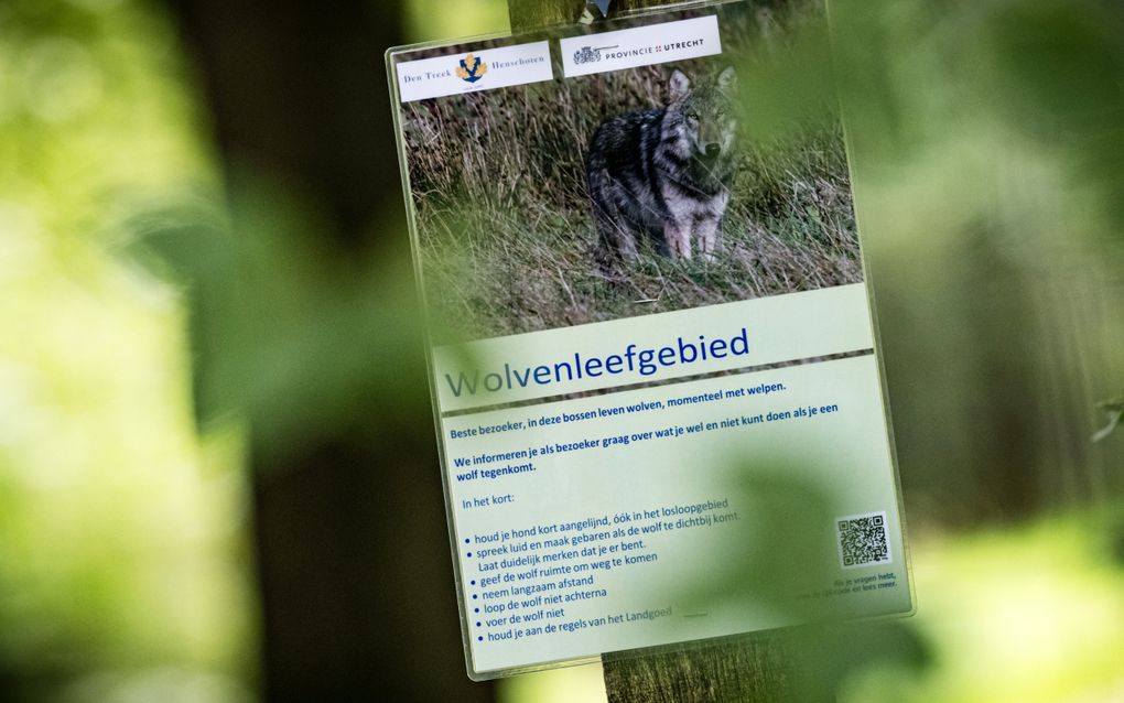 Een waarschuwingsbord voor de wolf in de bossen bij de Utrechtse Heuvelrug. beeld ANP, Rob Engelaar