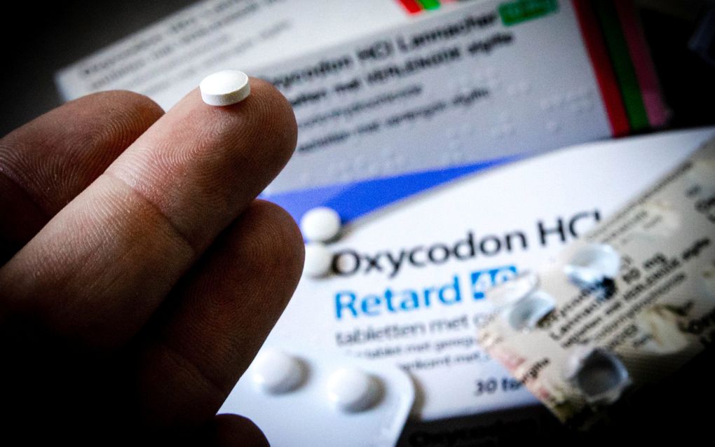 Verpakkingen van het pijnstillend opiaat Oxycodon. beeld ANP, Rob Engelaar
