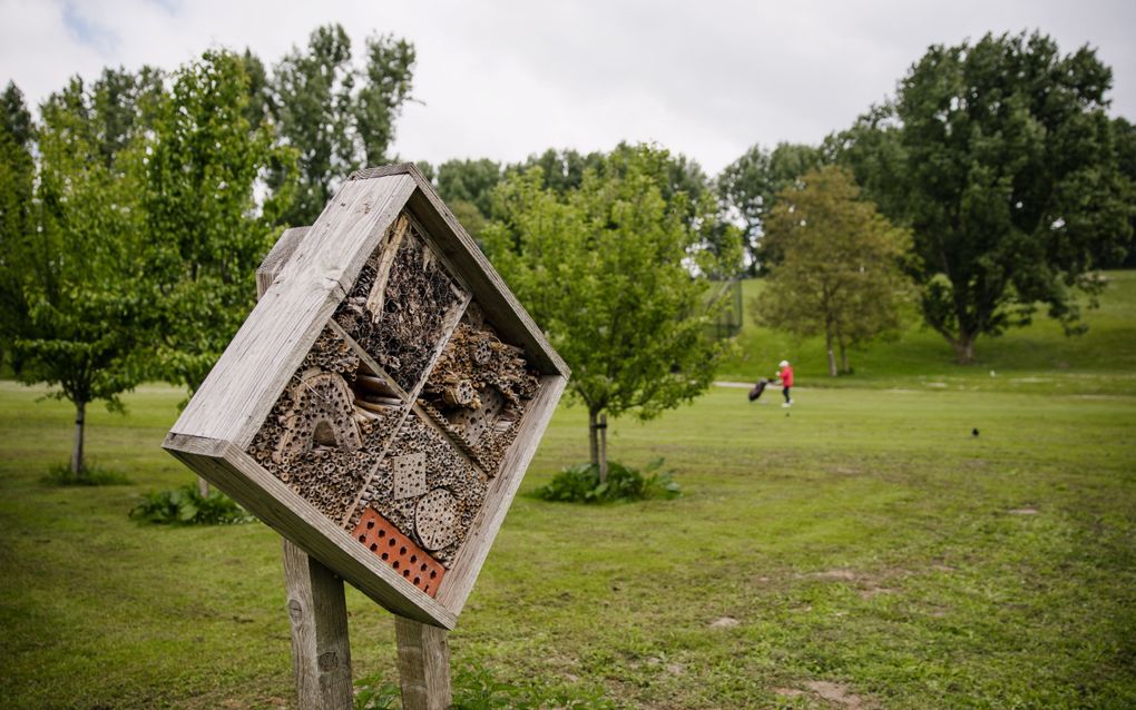 Golfbanen bieden bij elkaar zo’n 5500 hectare natuur. Beeld: een bijenhotel op een golfterrein. beeld Edwin Vermaas