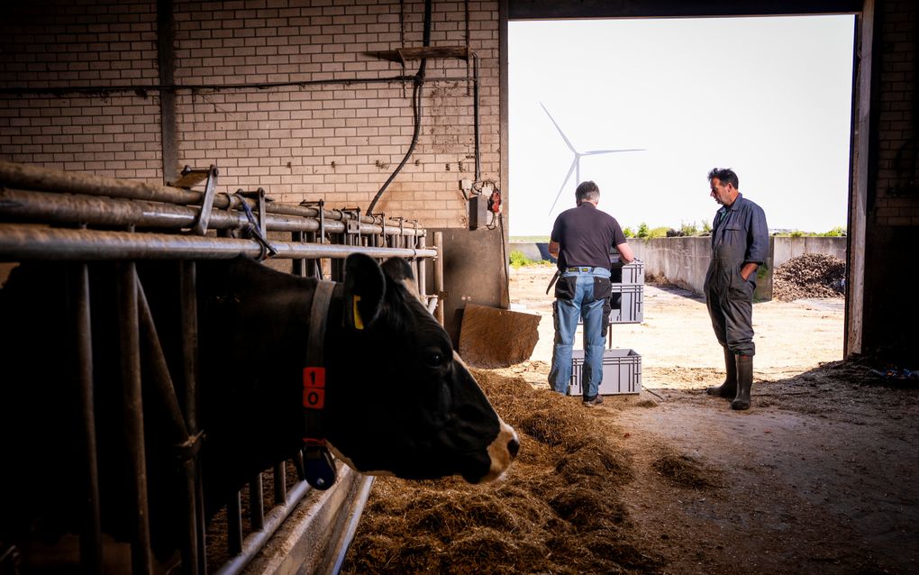 Hoe zwerfstroom op Ooltgensplaat in het verdachtenbankje terechtkwam