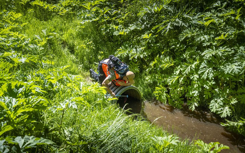 2025-05-20 14:56:50 WINSCHOTEN - Het Veteranen Search Team kamt het Stadspark uit tijdens de zoektocht naar de ontvoerde kinderen Jeffrey en Emma. Er wordt gevreesd voor het leven van de twee, die ontvoerd zijn door hun vader. ANP JILMER POSTMA