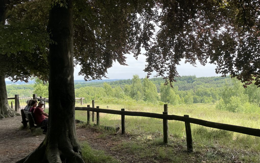 Tussen de zingende vogels ook een loeiende stier langs het Trekvogelpad