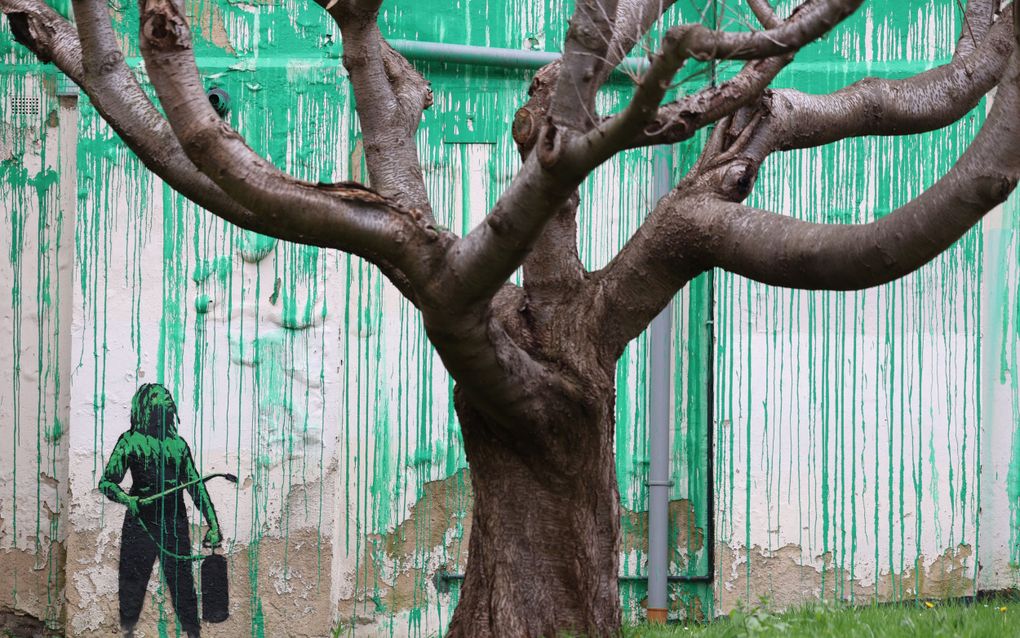 epaselect epa11227746 A graffitied mural near a tree on Hornsey Road in the Finsbury Park area of London, Britain, 18 March 2024. The artwork has been confirmed by artist Banksy on his Instagram social media feed as authored by him.  EPA/NEIL HALL