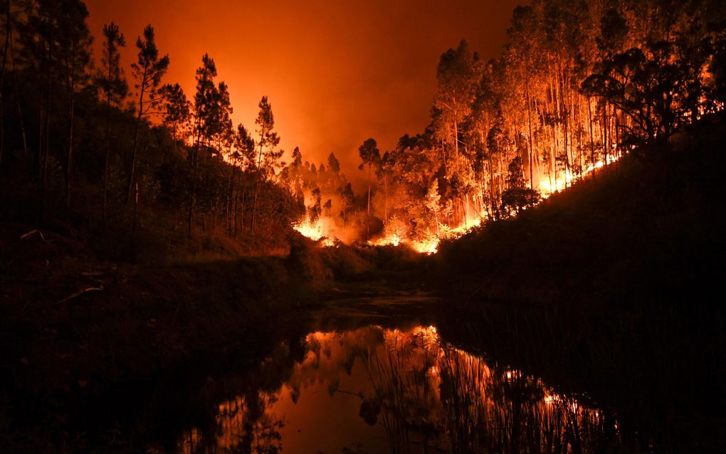 In Portugal hebben bosbranden in het verleden al geleid tot tientallen doden. beeld AFP, Patricia de Melo Moreira 