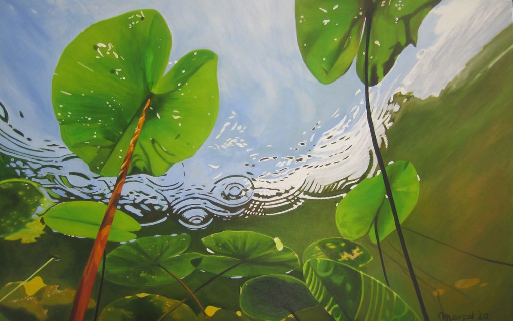 Olieverfschilderij met leliebladeren onder water.