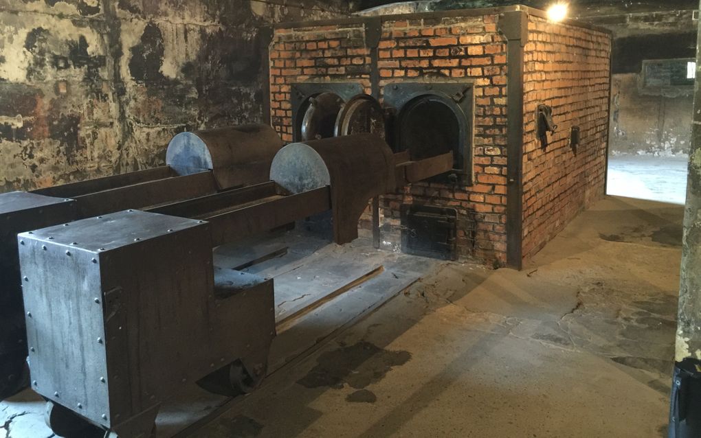 Verbrandingsovens in vernietigingskamp Auschwitz. beeld RD