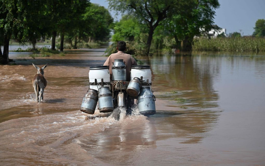 Een man met en brommertje met melkbussen achterop rijdt door een overstroomd gebied. 
