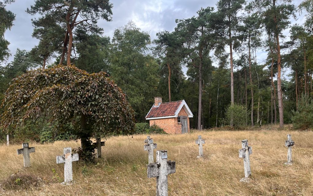Natuurbegraafplaats met houten kruizen en een doodgravershuisje.