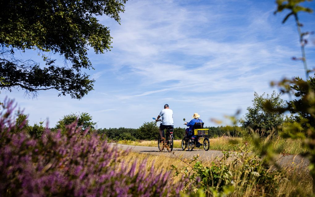 Heidestruiken, een blauwe lucht en op de voorgrond twee fietsers die genieten van de natuur op de Veluwe.