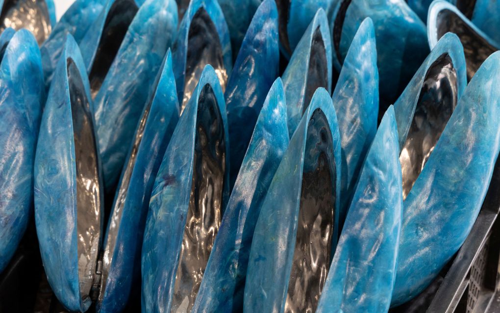 Opengeklapte mosselen als kunst.