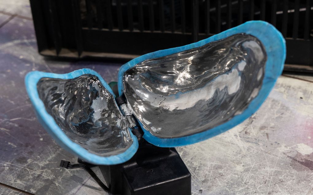 Binnenkant van een mossel.