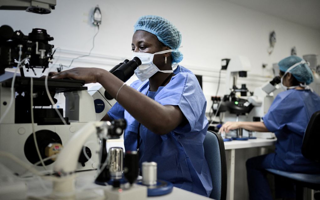 Een medewerker van een laboratorium. Wereldwijd, ook in Nederland, zetten onderzoekers gestaag stapjes in het ontwikkelen van kunstmatige geslachtscellen. beeld AFP, Philippe Lopez 