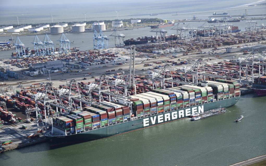 Diverse portaalkranen in de haven van Rotterdam. beeld ANP, Bram van de Biezen