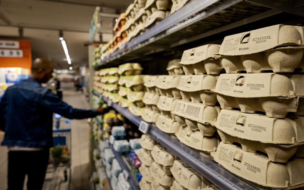 Eieren in een supermarkt van Albert Heijn. beeld ANP, Robin van Lonkhuijsen