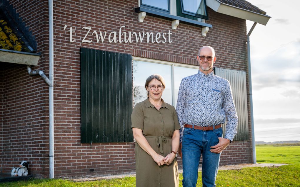Zwaluwen als teken van Gods zorg