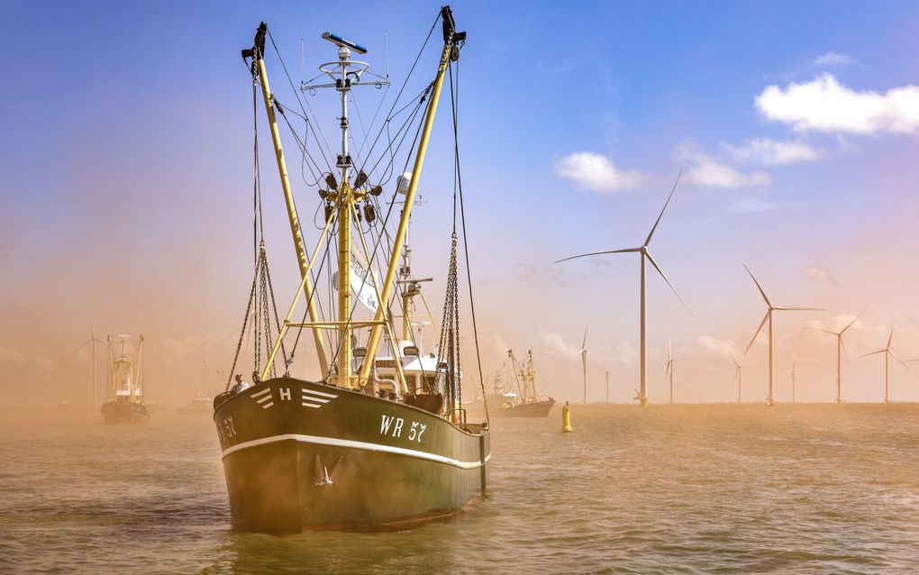 IJsselmeerkotters, garnalenkotters en Noordzeekotters voeren in 2020 in protest langs de Afsluitdijk om samen te komen bij Breezanddijk. De vissers protesteerden tegen windmolens die beslag leggen op hun viswateren. beeld ANP, Ramon van Flymen