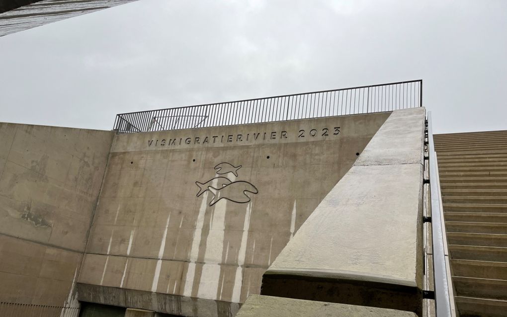Betonnen wanden met daarin de naam Vismigratierivier 2023.