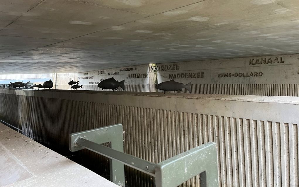 Betonnen wanden met daarop metalen vissen op een standaard. De betonnen achterwand draagt de namen waar deze vissen voorkomen.